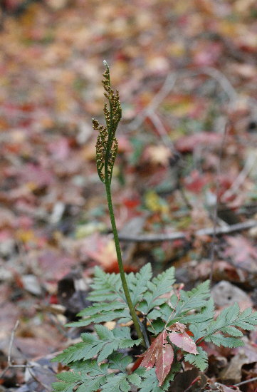 f0181173_2335368.jpg