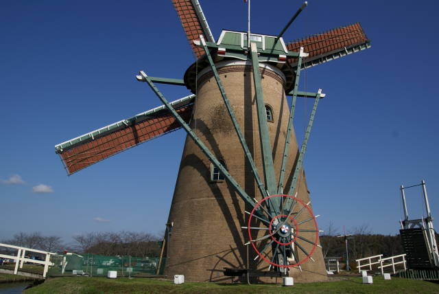 a0113874_17441190.jpg