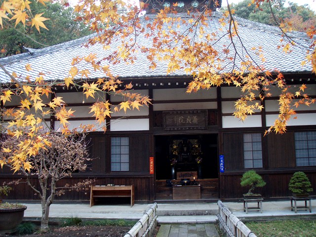 b0004675_10225581.jpg