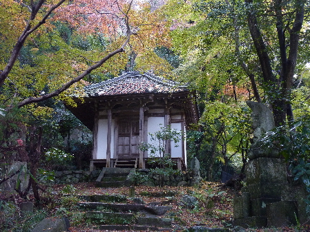 d0051178_826554.jpg