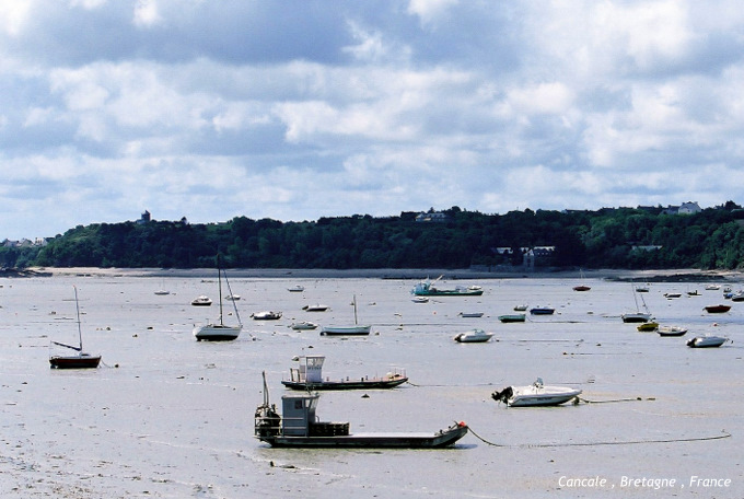 b0178479_1135478.jpg