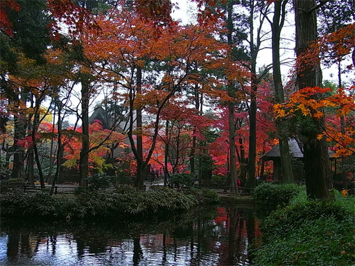 f0089079_201037.jpg