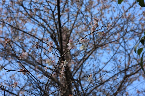 b0003280_1195128.jpg