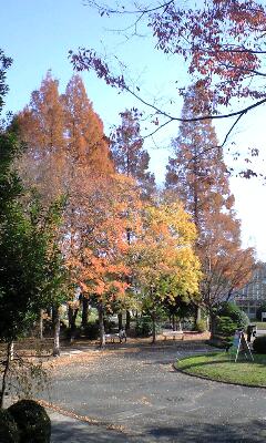 f0149982_2149415.jpg