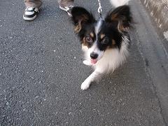 e0121583_2055613.jpg