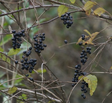 c0144185_13413674.jpg