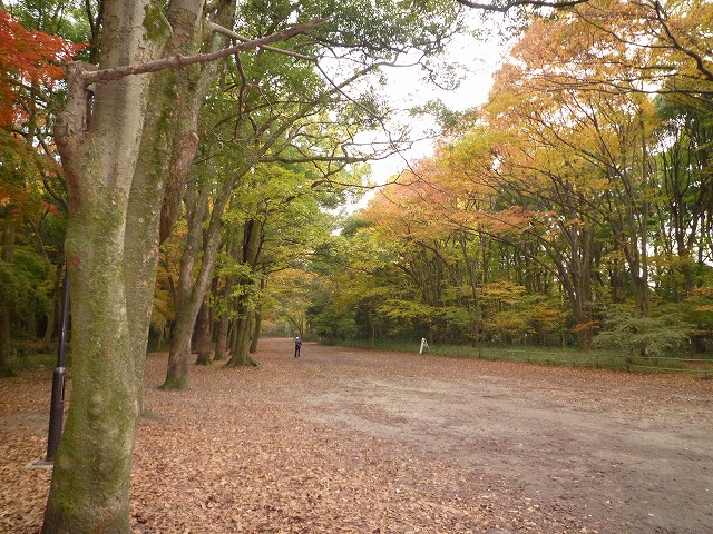 a0118289_1357038.jpg