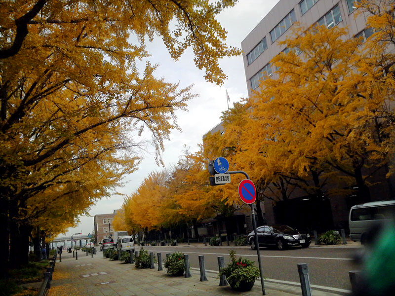 a0049090_2132758.jpg
