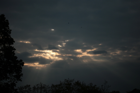 d0133693_21473468.jpg