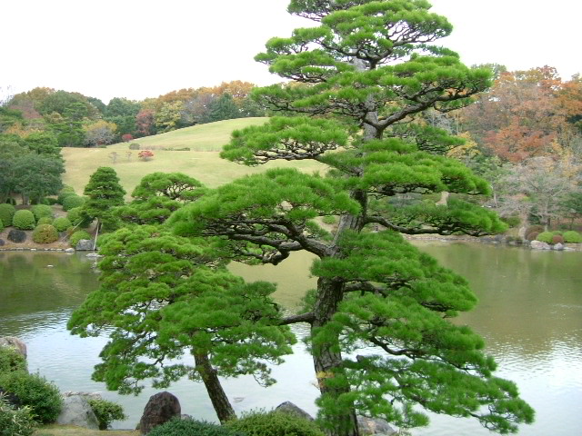 b0044296_22104532.jpg
