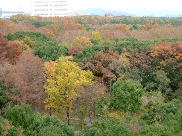 b0044296_2235271.jpg