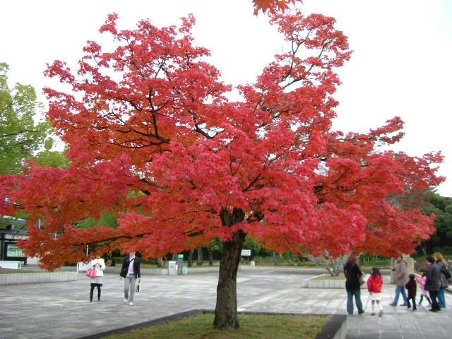 b0044296_2282445.jpg