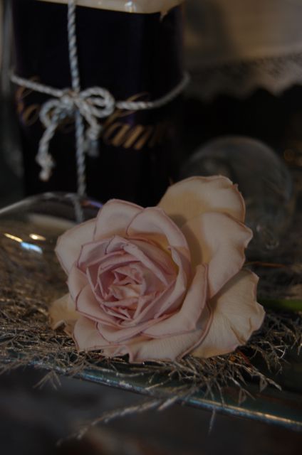 c0220399_7561036.jpg