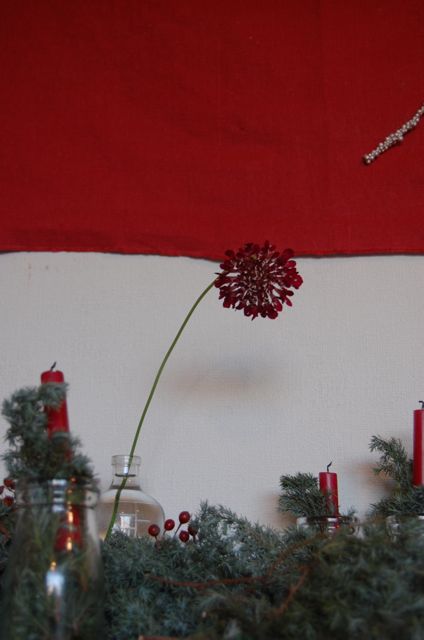 c0220399_864761.jpg