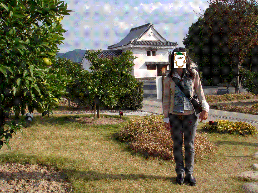 b0122401_22552782.gif