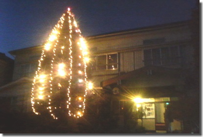 c0048701_1195081.jpg