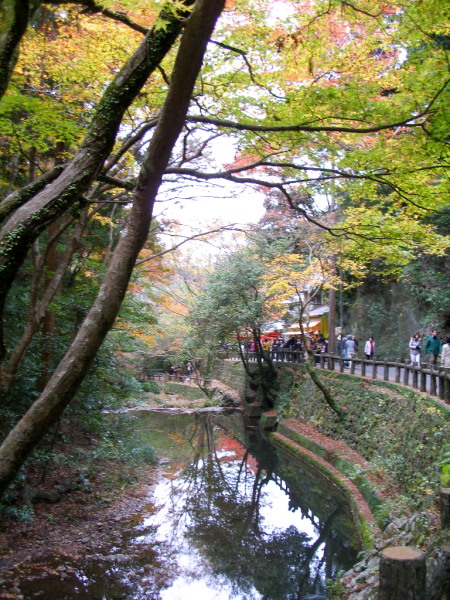 c0036203_17322920.jpg