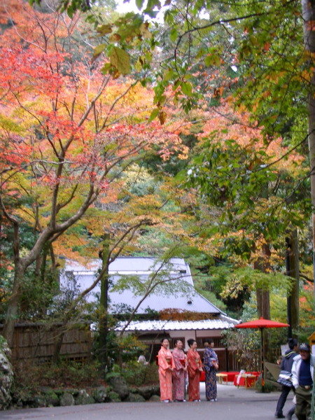 c0036203_17362545.jpg