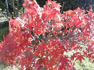 e0098908_22371532.jpg