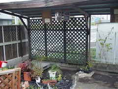c0190010_16501596.jpg
