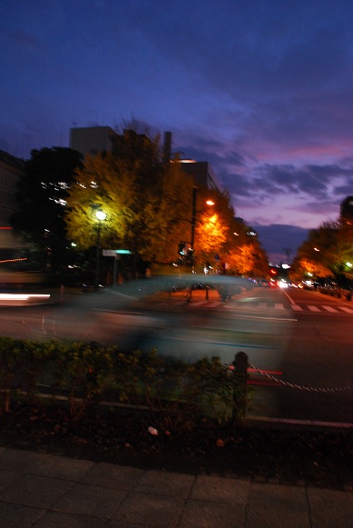 e0005411_853176.jpg