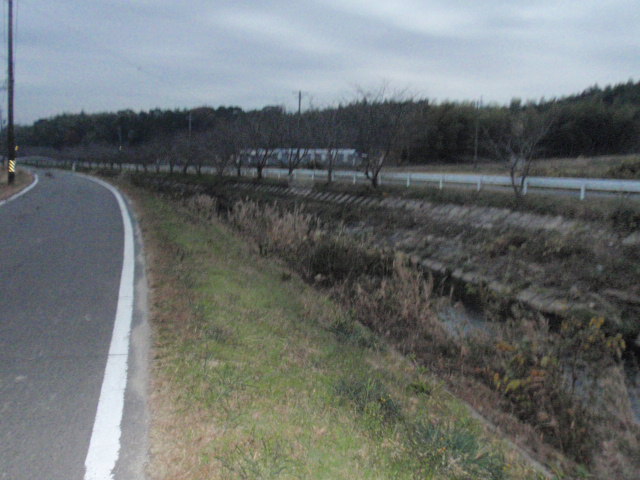b0062214_20471142.jpg