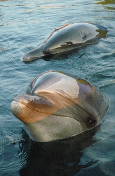 f0126515_15152317.jpg