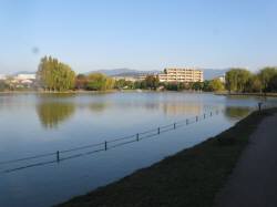 e0140616_19553572.jpg