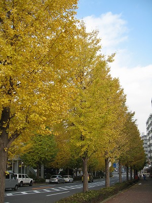 a0111621_16145082.jpg