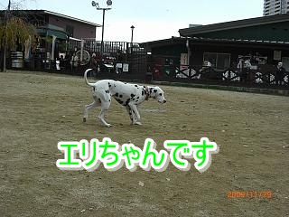 e0179321_21511841.jpg