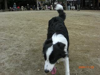 e0179321_2211659.jpg