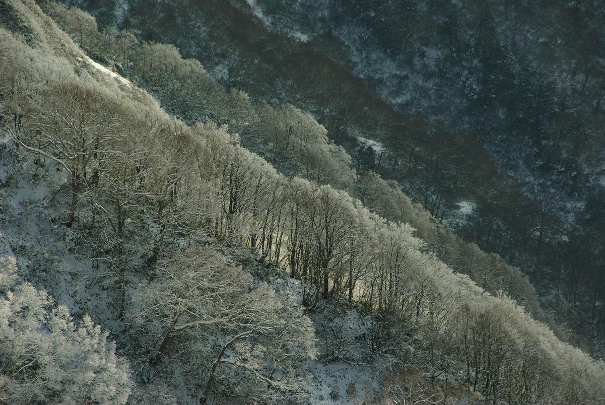b0062024_1922123.jpg