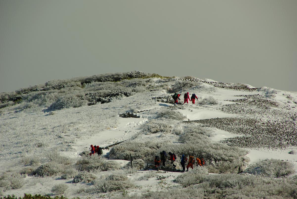 b0062024_19265351.jpg