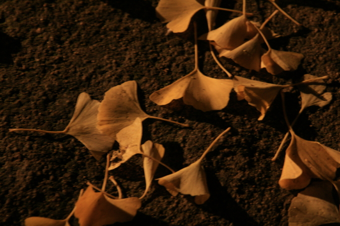 b0132924_2027173.jpg