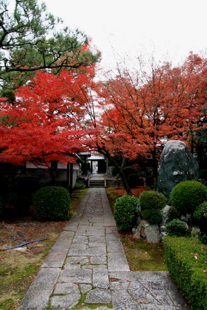 b0132924_20353352.jpg