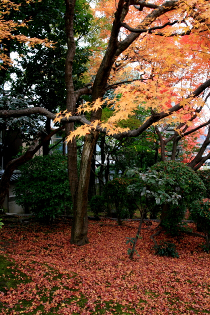 b0132924_20503565.jpg