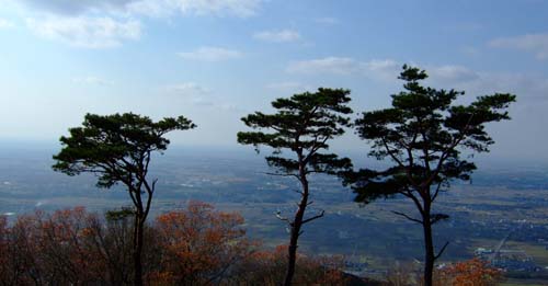 f0147025_21152866.jpg