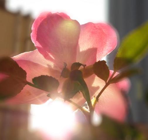 c0201427_16365710.jpg