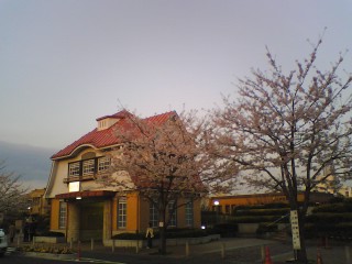 d0147727_21154494.jpg