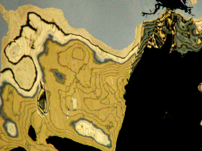 f0180529_339549.jpg