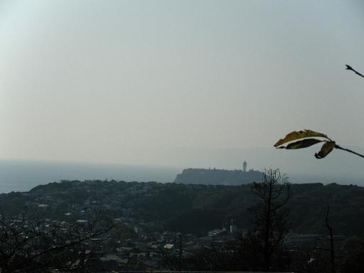 a0105730_1017339.jpg