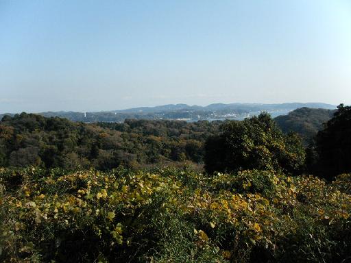 a0105730_1017461.jpg