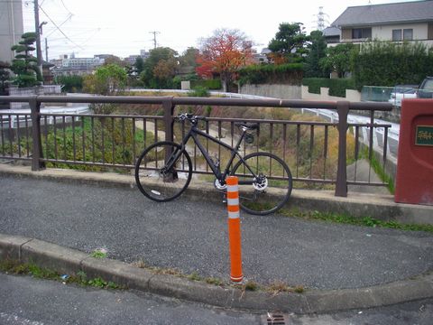 f0000330_1701836.jpg