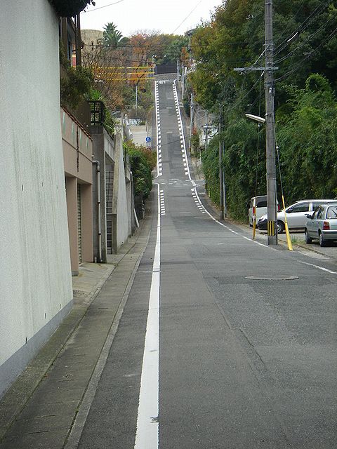 f0000330_1751039.jpg