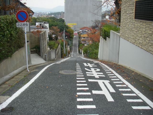f0000330_179444.jpg
