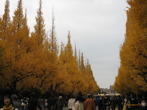f0000135_22243596.jpg