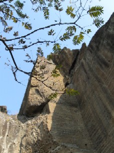 a0013236_20115050.jpg