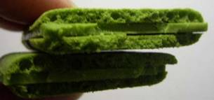 c0025937_1732203.jpg