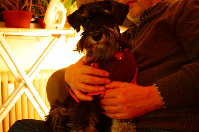 c0153740_357698.jpg