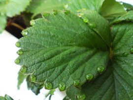 f0204440_2113093.jpg